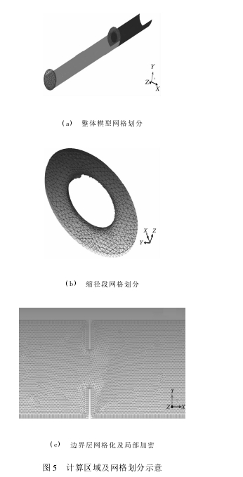 圖 5 計算區(qū)域及網(wǎng)格劃分示意